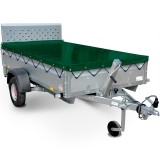 Rex_flachplane-grün