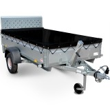 Rex_flachplane-schwarz