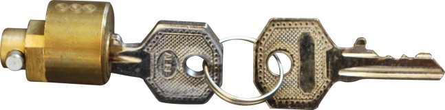 ZT09001Steckschloss_1