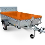 Rex_flachplane-orange