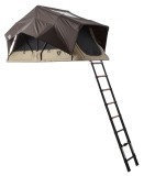 vw23_little_bamboo_03